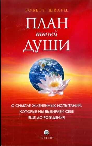 План твоей души. О смысле жизненных испытаний, которые мы выбираем себе еще до рождения - Роберт Шварц