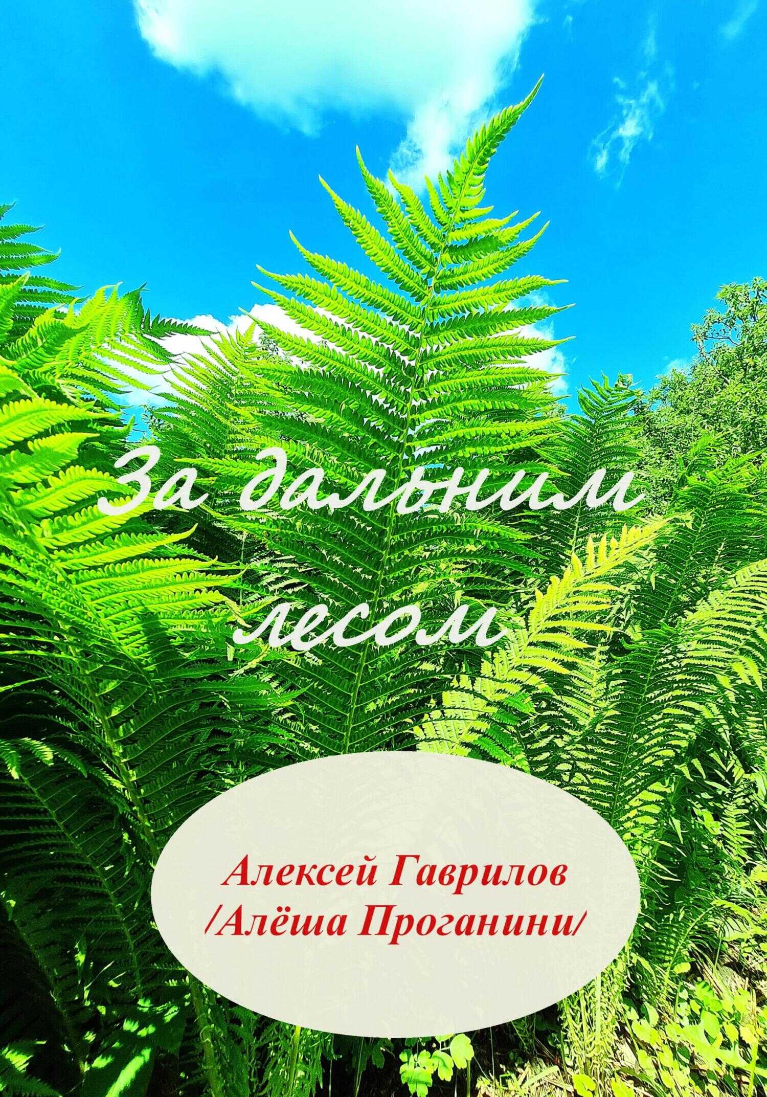 За дальним лесом - Алексей Гаврилов