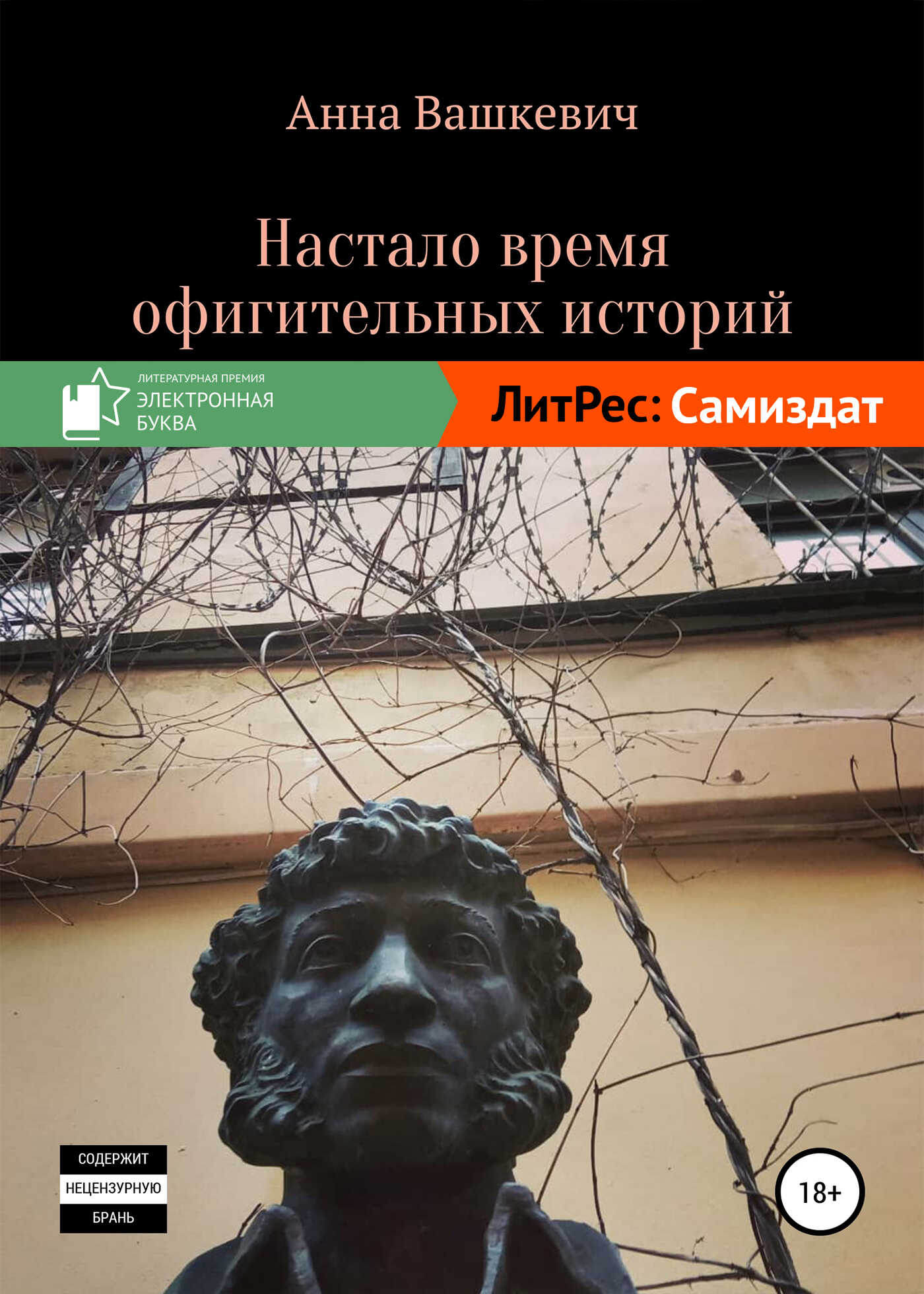 Настало время офигительных историй - Анна Вашкевич