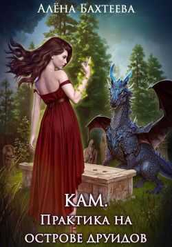 Кам. Практика на острове друидов - Алёна Бахтеева