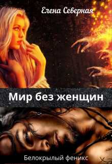 Мир без женщин. - Елена Северная