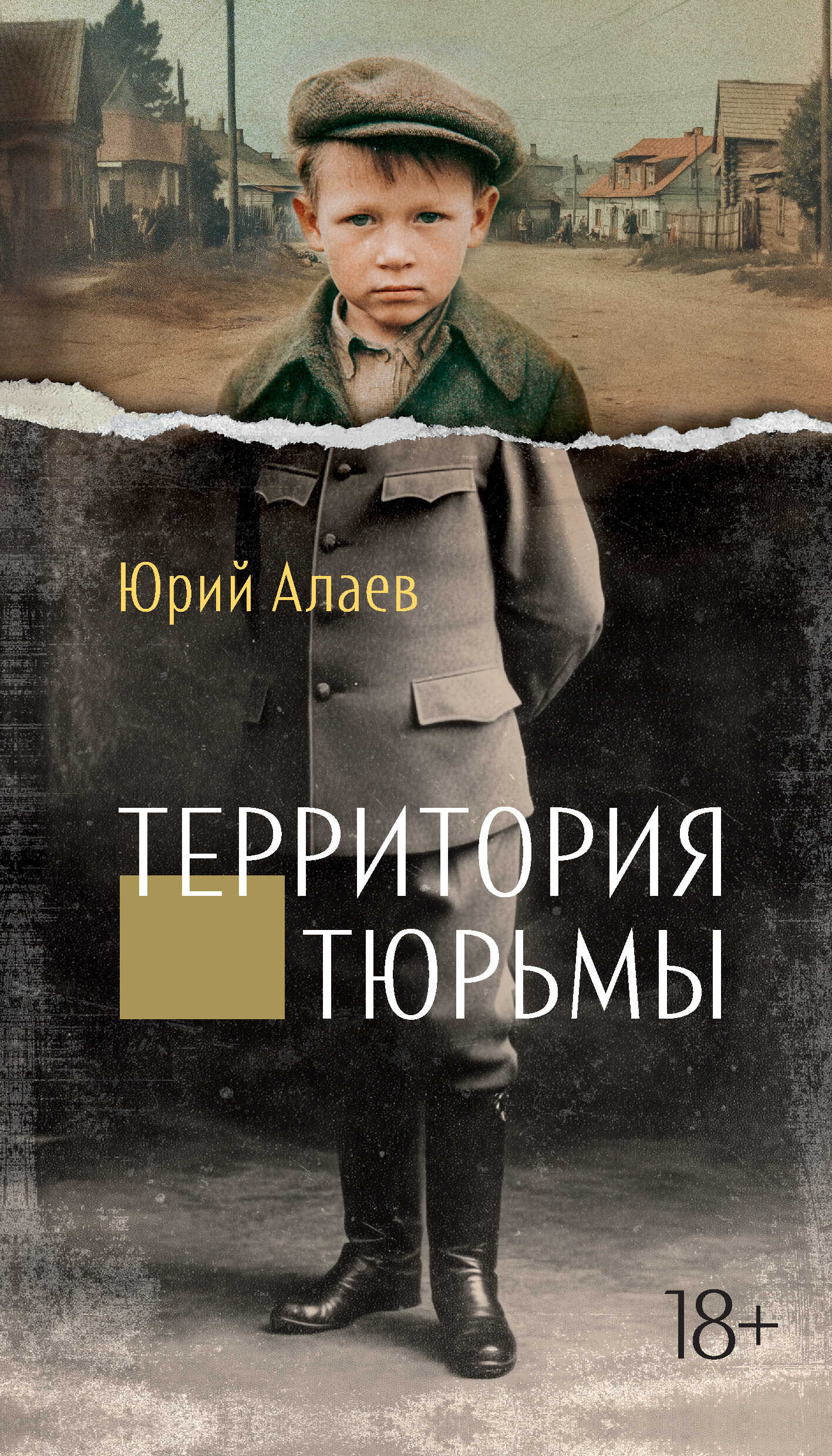 Территория тюрьмы - Юрий Прокопьевич Алаев