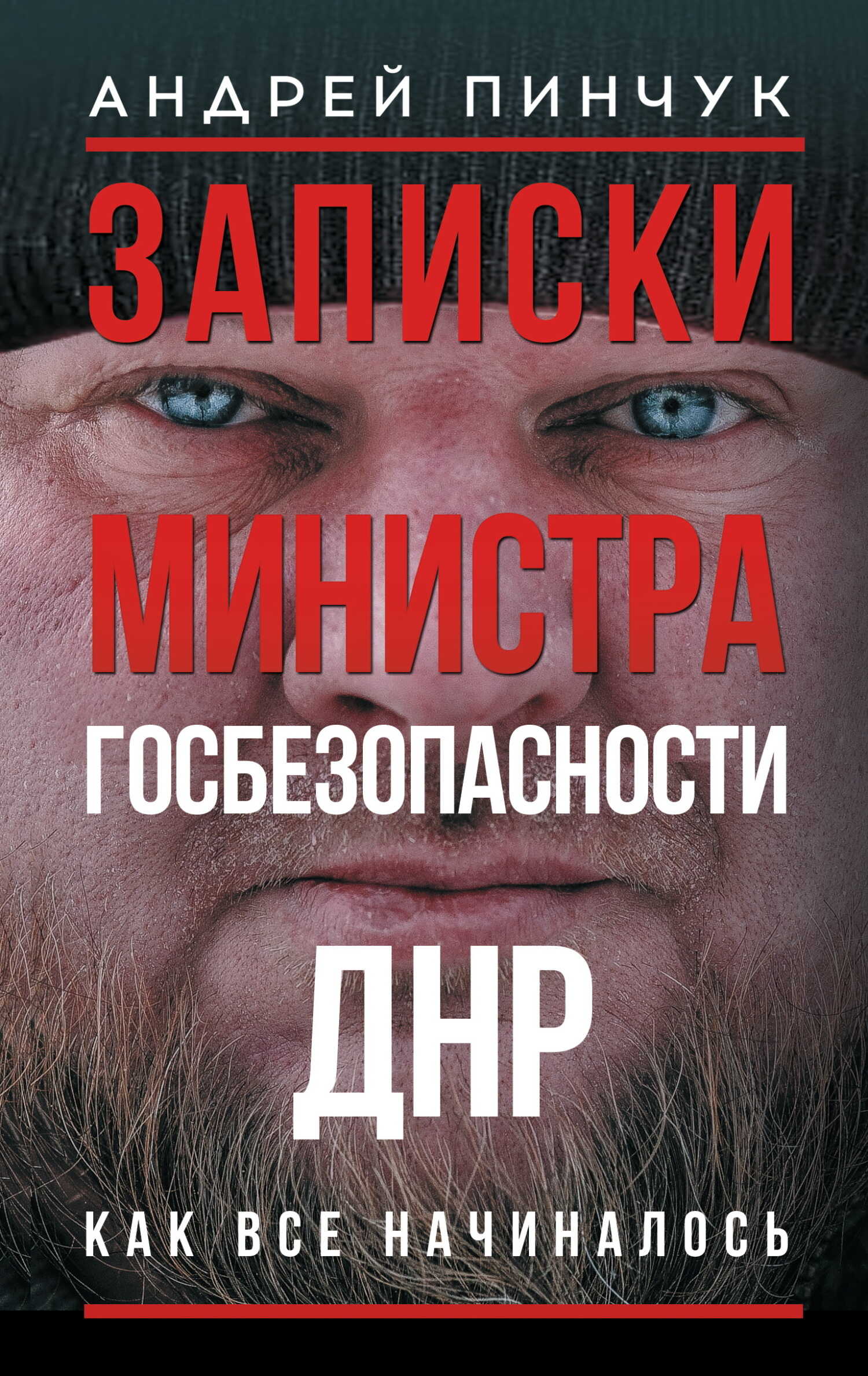 Записки министра госбезопастности. ДНР, как все начиналось - Андрей Юрьевич Пинчук