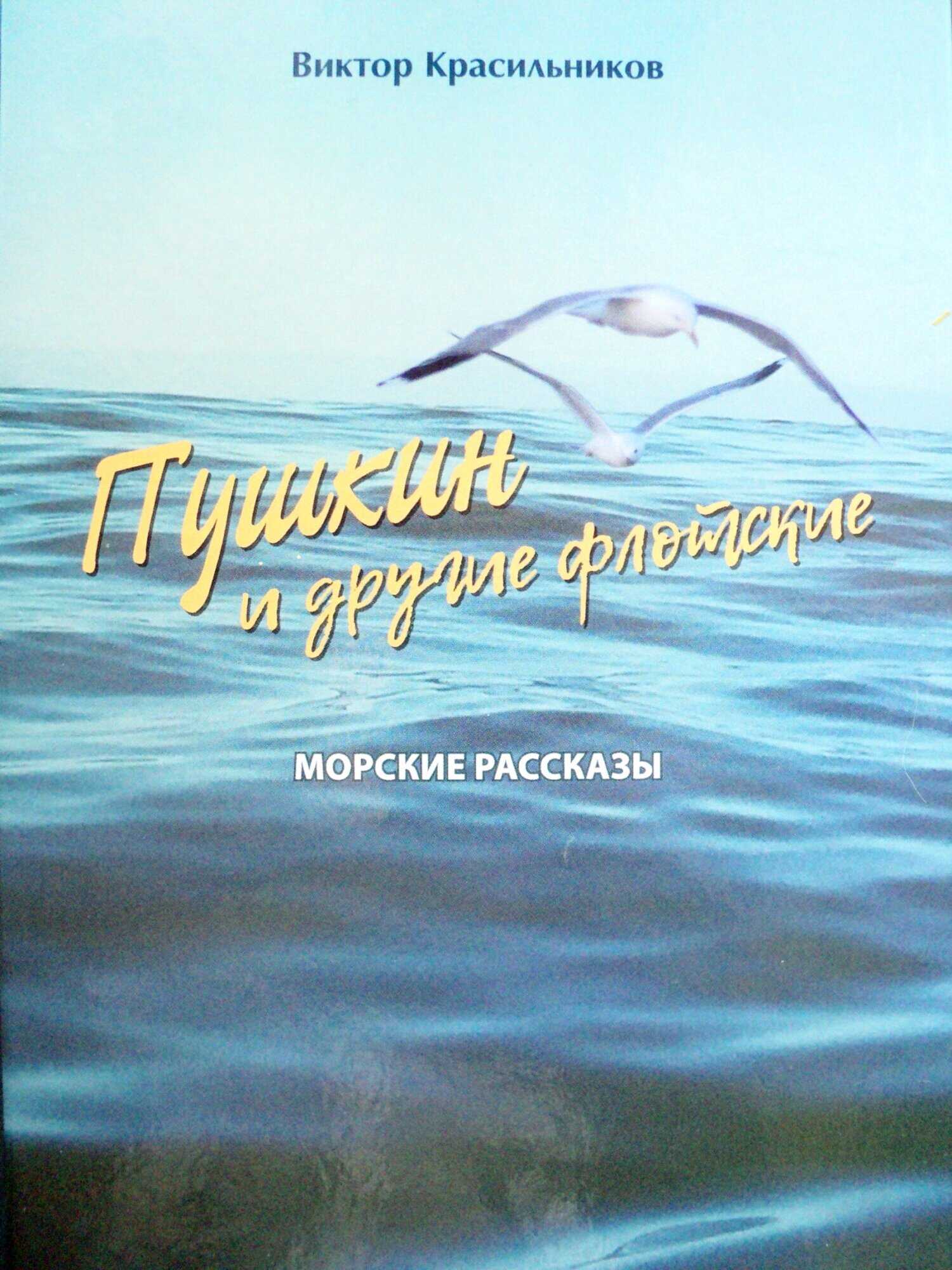 Пушкин и другие флотские. Морские рассказы - Виктор Красильников