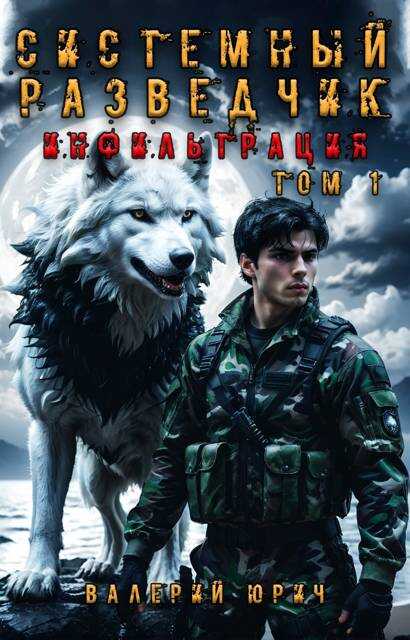 Системный разведчик. Инфильтрация. Том 1 - Валерий Юрич