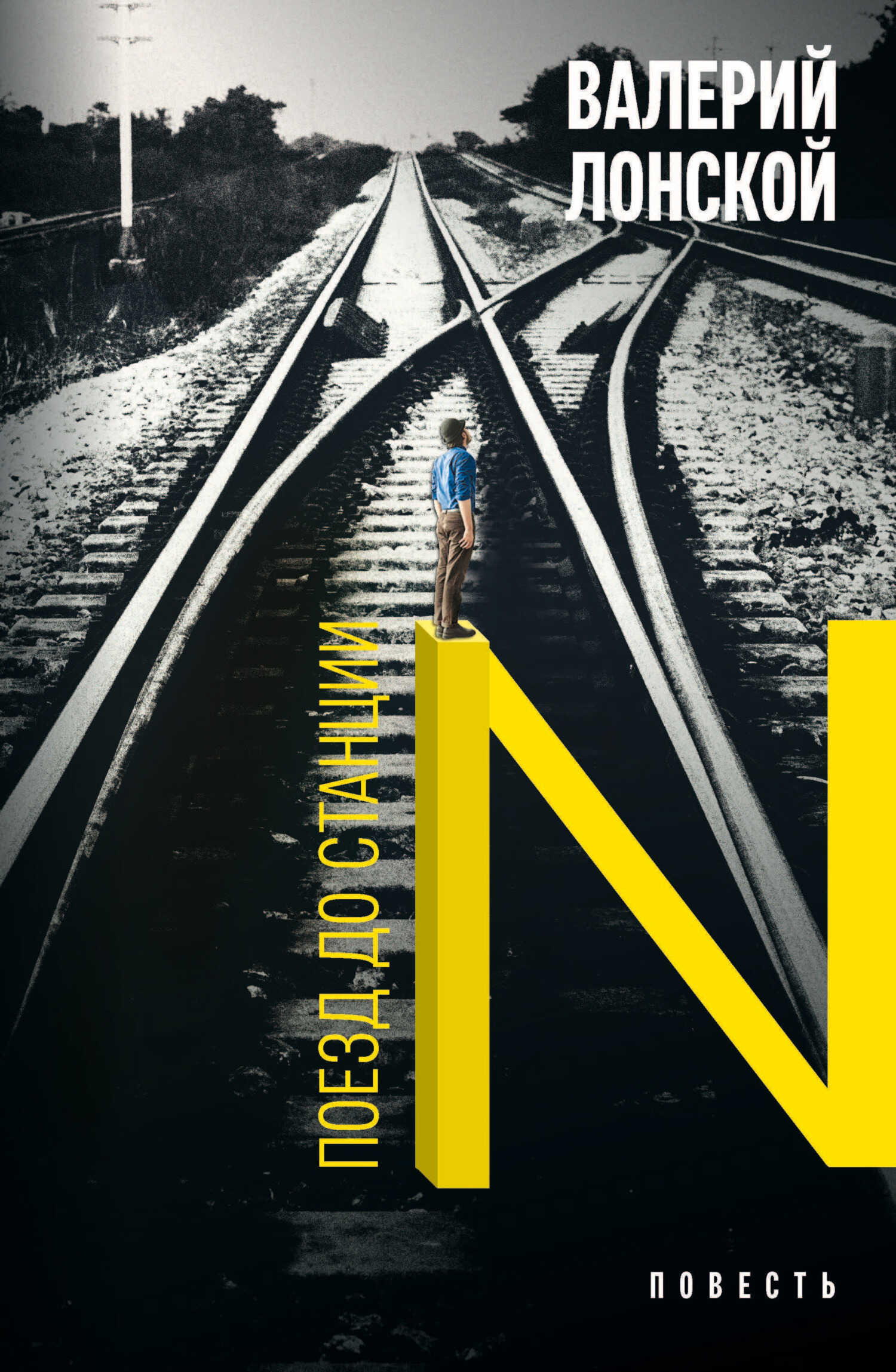 Поезд до станции N. Хроника одной поездки - Валерий Яковлевич Лонской