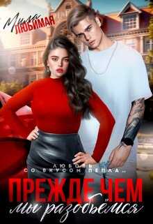 Прежде чем мы разобьёмся - Мила Любимая