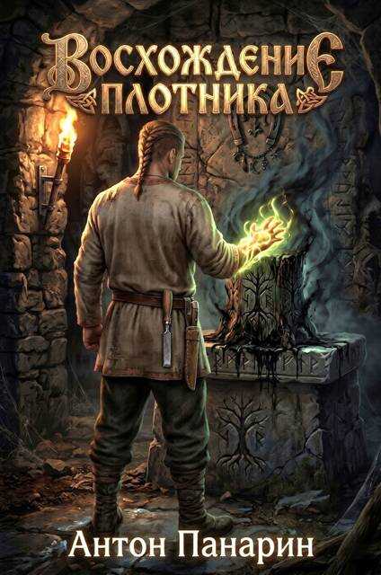 Восхождение Плотника. Том 4 - Антон Панарин