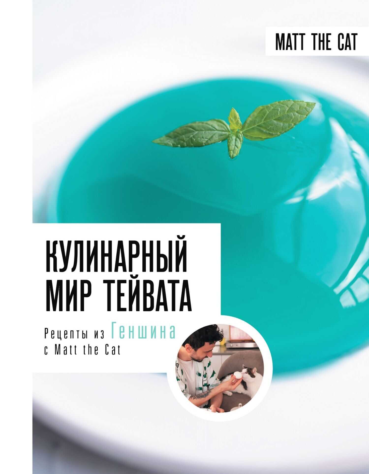 Кулинарный мир Тейвата. Рецепты из Геншина с Matt the Cat - Ярослав Cat