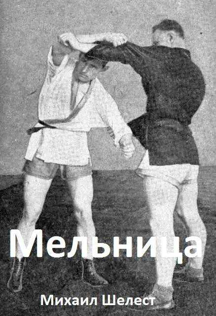 Мельница 2 - Михаил Васильевич Шелест