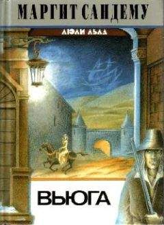 Маргит Сандему - Вьюга