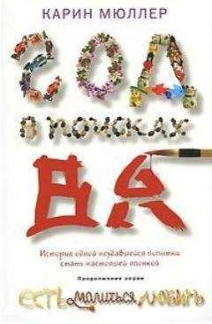 Карин Мюллер - Год в поисках "Ва". История одной неудавшейся попытки стать настоящей японкой