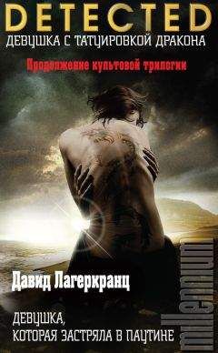 Стиг Ларссон - Девушка, которая застряла в паутине