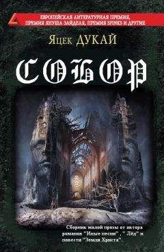 Яцек Дукай - Собор (сборник)