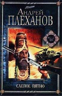 Андрей Плеханов - Слепое пятно