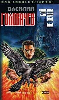 Василий Головачев - Бой не вечен